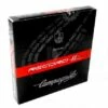 Campagnolo® Campagnolo Record Kette 11-fach