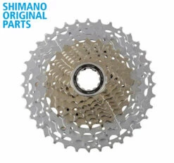SHIMANO Kassette CS-HG81 10-fach