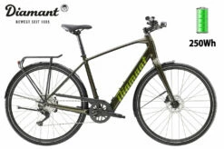 Diamant 365 Deluxe Oxidgrün Metallic 2023