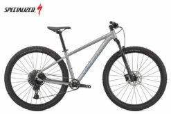 Specialized Rockhopper Expert 29 Satin Silver Dust / Black Holographic